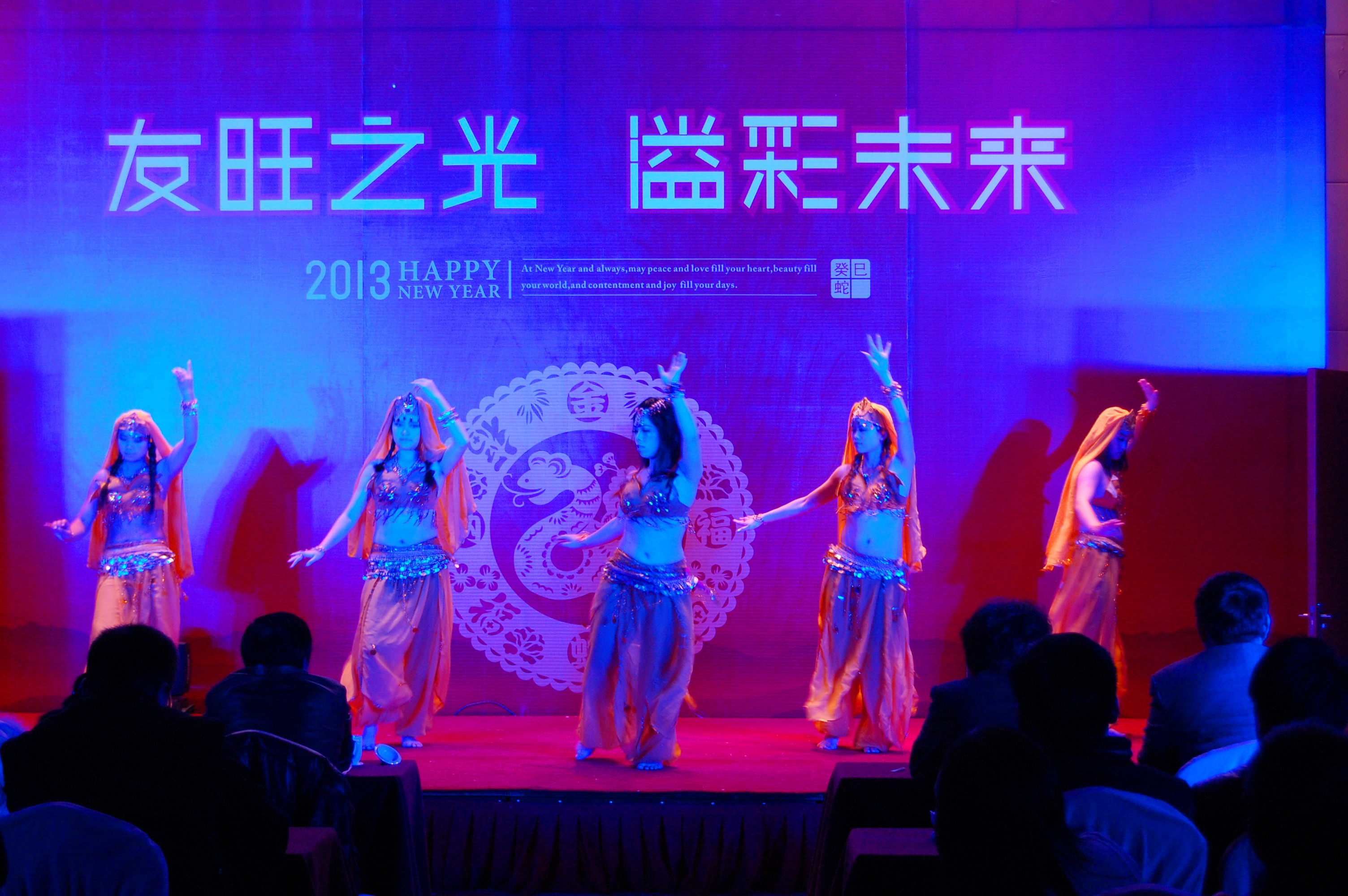 
                            友旺之光，溢彩未來——公司舉行2012年度總結(jié)大會(huì)和迎新晚會(huì)